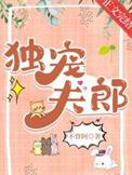 独宠夫郎祝六六TXT百度
