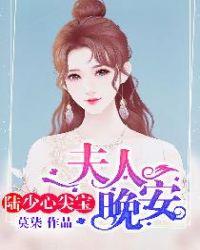 陆少心尖宝夫人晚安完整版