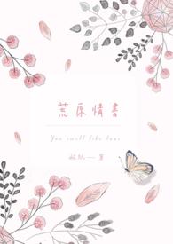 荒原veil