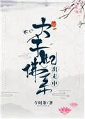 太子妃佛系出走中(午时茶)
