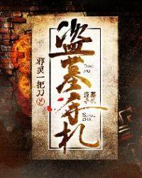 盗墓手札在线收听