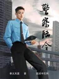 主角是警察一路升官的