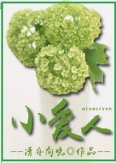 小爱人什么意思
