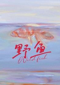 新野鱼的有哪些