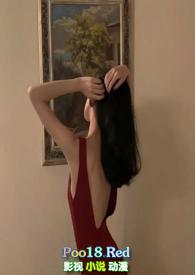 露骨的文学作品