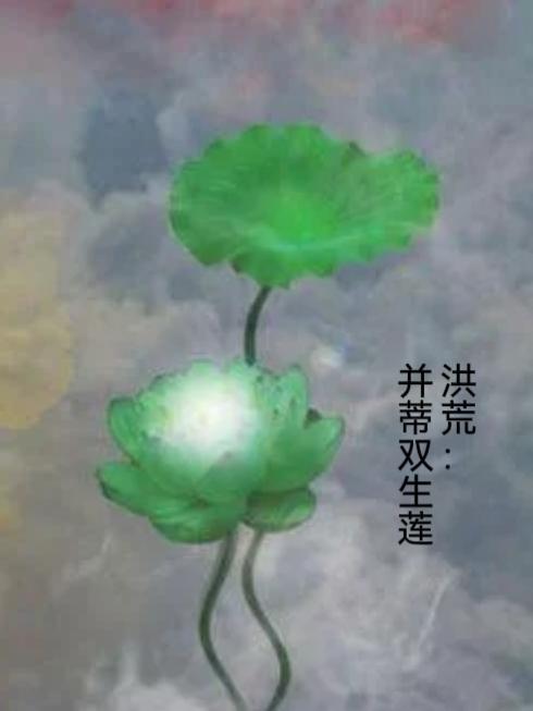 洪荒并蒂双生莲视频