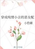 穿成纯情小言的恶女配txt书包网