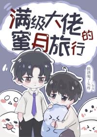 满级大佬的蜜月旅行by假酒喝了头疼
