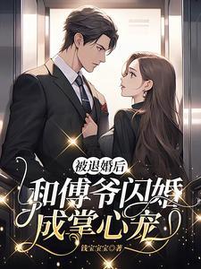 闪婚天价老公免费阅读