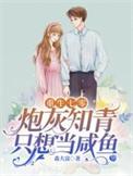 重生七零炮灰知青只想当咸鱼全集