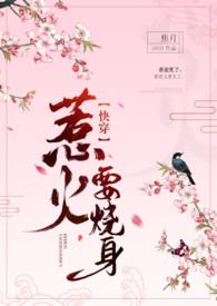 惹火烧身 高干