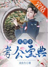 大理寺考公宝典 百度TXT