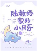 陆教授家的小月牙讲的是什么