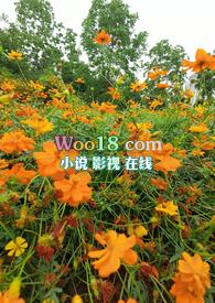 乱花迷人眼金叶子笔趣阁