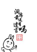 洞房前还有遗言吗盘txt
