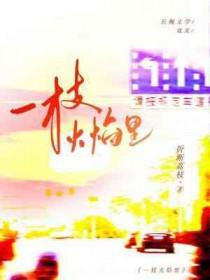 一枝火焰里番外