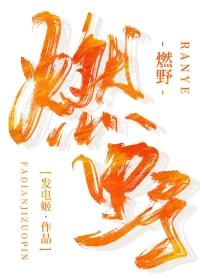 燃野少年的天
