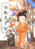 心机太子妃by起跃晋江