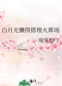 白月光懒得搭理火葬场类别都市
