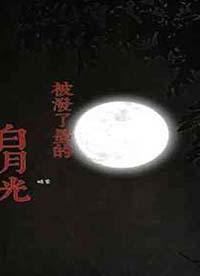 被白月光拱了
