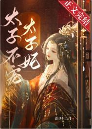 太子不宠太子妃简介