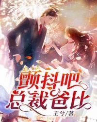 总裁抖s