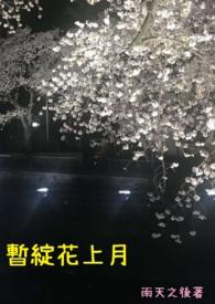 上一季度是什么时候