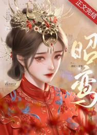 昭鸾传免费阅读全文