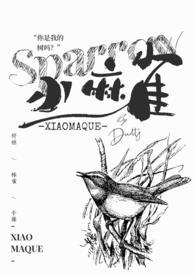小麻雀学名