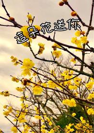 这朵花送你背景图