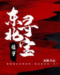 东北寻宝往事短剧热播