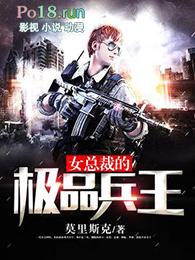 女总裁的超品兵王