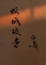 双城故事粤语版在线观看