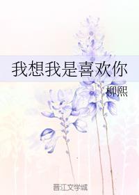 我想我是喜欢你的