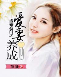 盛婚豪门之爱妻养成的阿坤和以菱