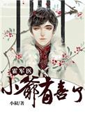 小爷有喜了同类型