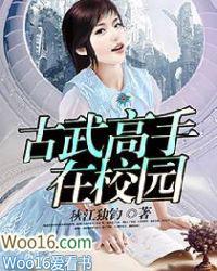 古武高手在校园完颜洪烈