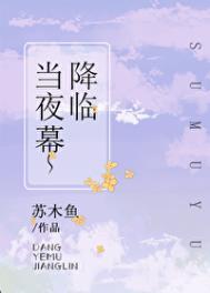 当夜幕降临后作文