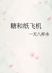 糖和纸飞机txt百度