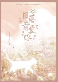 日落之前说爱你