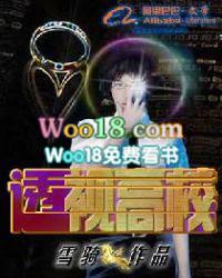 关于校园透视的