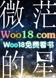 微茫的星by崔罗什讲的什么