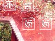 不舍娇娇无错别字全文阅读
