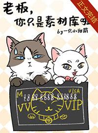 老板你要的图在这