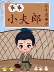 乖乖小夫郎白书宁女尊