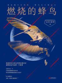 燃烧的蜂鸟陶亮结局