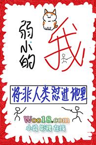 我作文800字