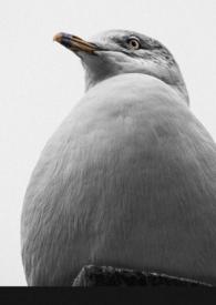 拦沙是几月几日