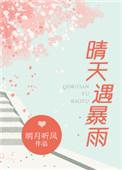 晴天遇暴雨书评