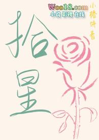拾星海岸是什么意思